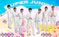 super junior:12plue sexy cologne