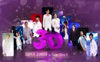 Super Junior :: Super Show 3 [3d]