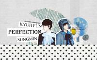 KyuMin; perfection 