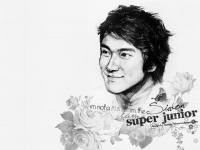 SJ : SIWON Drawing