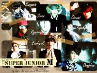 Super Junior M_[Perfection]