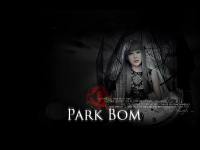 Dark-Bom