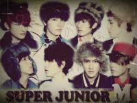 SJ-M [Perfection]