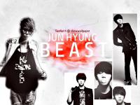 JunHyung Beast