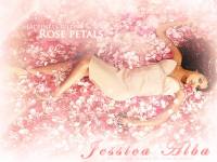 Rose petals 'Jessica Alba'