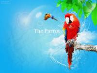 The Parrot in the sky (: