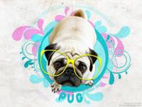 " PUG " A Little D♥G