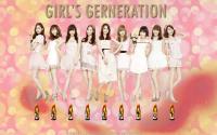 SNSD Vita 500 special edition