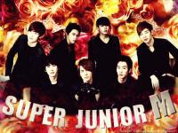 Super Junior - M