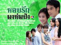 [New Drama] หอบรักมาห่มป่า