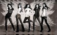 SNSD SPAO Star Jeans Classic