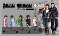 super junior SPAO