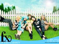 F(x) - PINOCCHIO SUMMER [IN THE GARDEN]