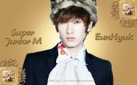 EunHyuk - Perfection