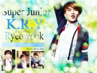 SJ K.R.Y. :: Ryeowook