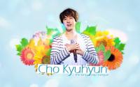 `CHO KYUHYUN w'