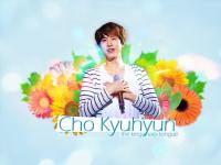 `CHO KYUHYUN