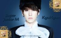 KyuHyun - Perfection