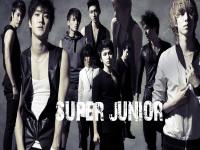 wallpaper-super junior