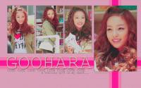 Hara Cute Precious gift