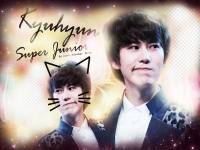 SuJu :: Kyuhyun so cute > 