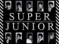 SUPER JUNIOR : BIJIN “BONAMANA” IN JAPAN