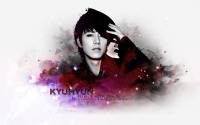 SUPER JUNIOR : KYUHYUN - rePerfection