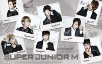 Super Junior M :: [2rd Mini Album Repackage] ver.2