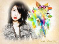 Park Shin Hye