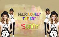 Sunny Filix Cat : D