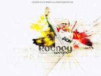 -.| Wayne Rooney