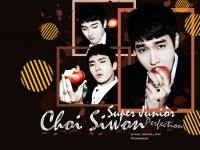 Siwon_SJ-M[Perfection]