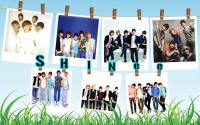 SHINee