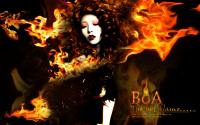 BoA : The hot flame
