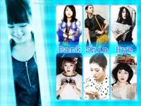 Park Shin Hye 2011 (1)