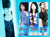 Park Shin Hye 2011 (2)
