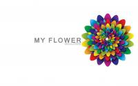 MY FLOWER