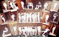Super Junior M~♥