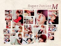 Super Junior M =3=