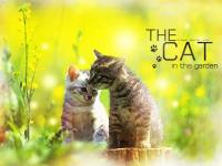 THE CAT