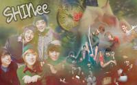 shinee 