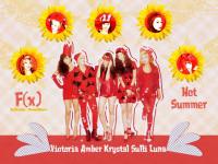 F(x) : Hot Summer