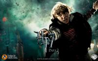 Harry Potter 7 Part 2