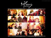 Harry Potter in memory ..