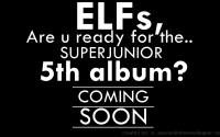 (Coming soon!)Super Junior 5th album