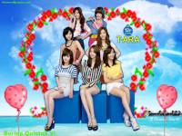 T-ara on magazine