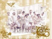 SNSD Japan [with Retro effect] GOLD