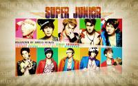 Super Junior : Mr.Simple Lomo