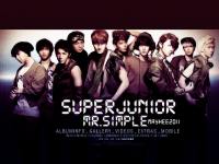 Mr.Simple Ver.B