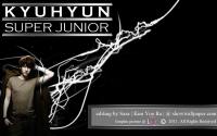 KyuHyun super Junior [Mr. simple]